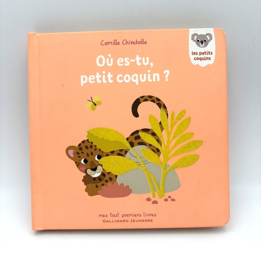 Livre – Où es-tu petit coquin ?